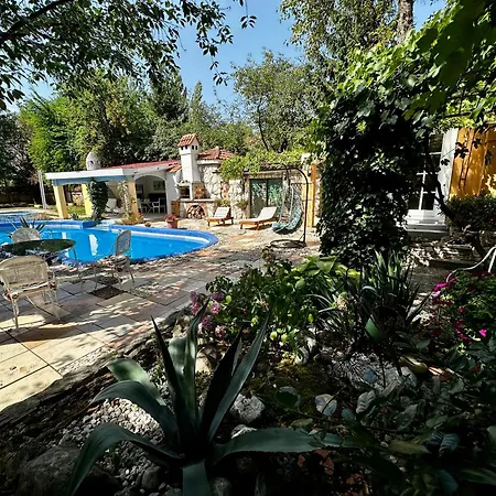 Harmonia * Szarajevó